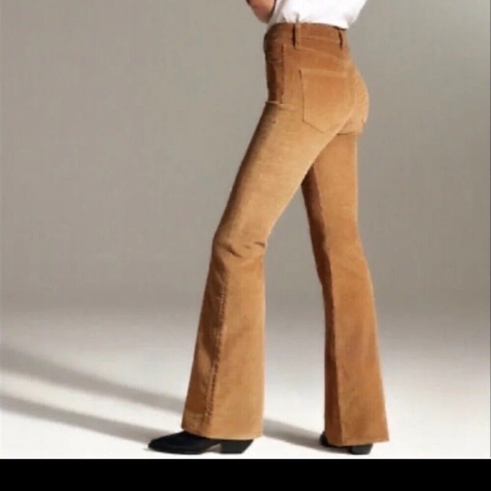 Aritzia Babaton Joey Pant